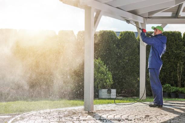 Best Warehouse Cleaning  in Johnston City, IL