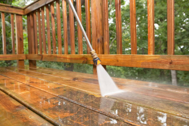 Best Solar Panel Cleaning  in Johnston City, IL