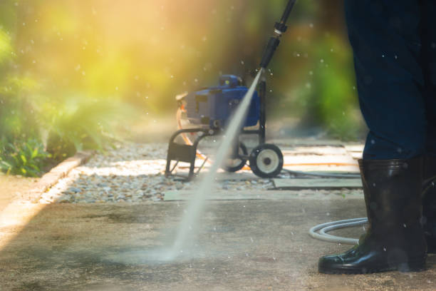 Best Graffiti Removal  in Johnston City, IL